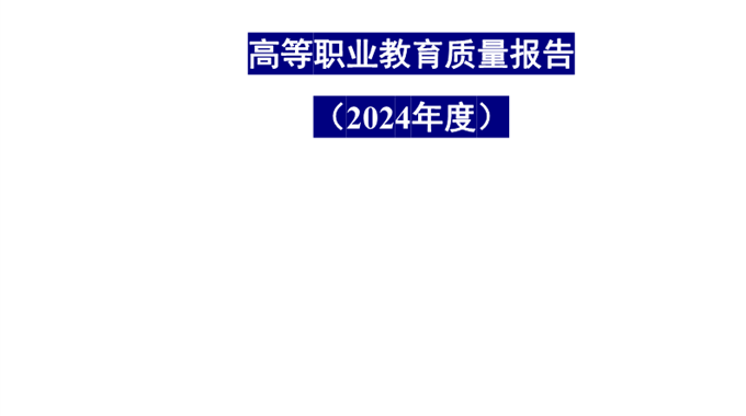 乐玩app入口站官网2024年度高等职业教育质量报告公示